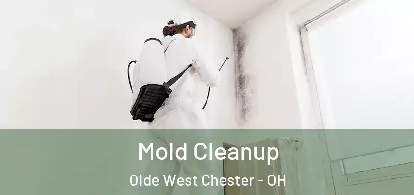 Mold Cleanup Olde West Chester - OH