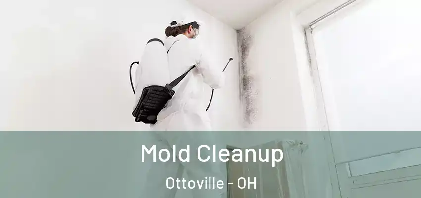 Mold Cleanup Ottoville - OH