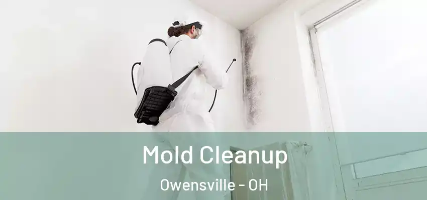 Mold Cleanup Owensville - OH