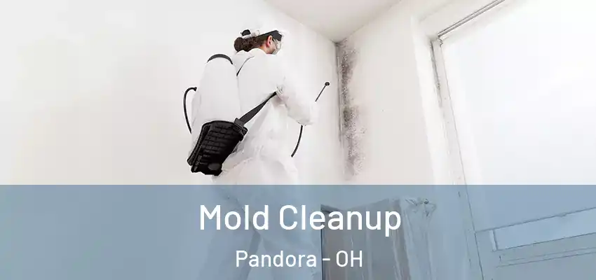 Mold Cleanup Pandora - OH