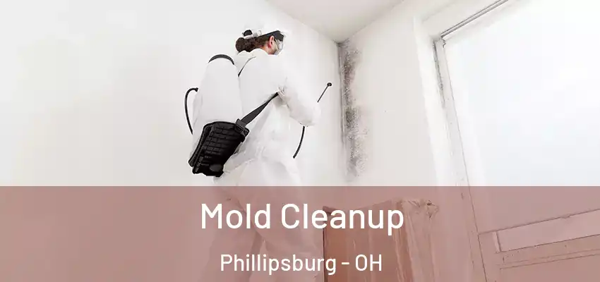  Mold Cleanup Phillipsburg - OH