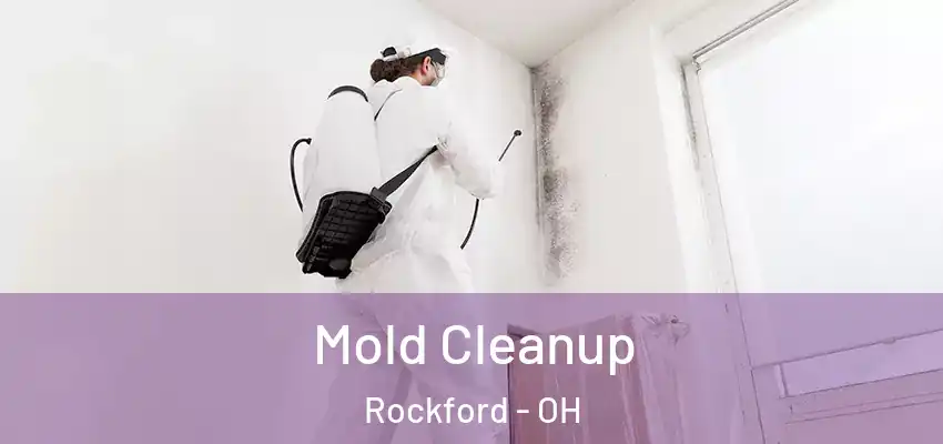  Mold Cleanup Rockford - OH