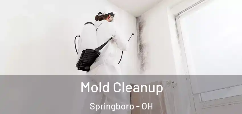 Mold Cleanup Springboro - OH