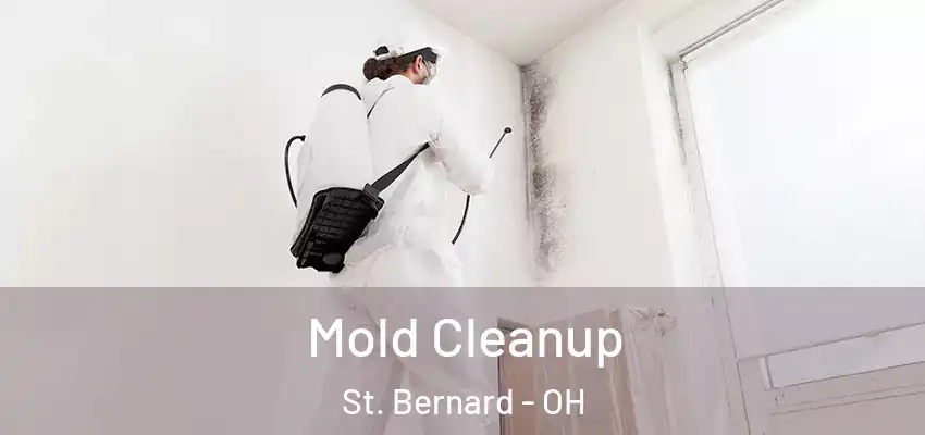 Mold Cleanup St. Bernard - OH
