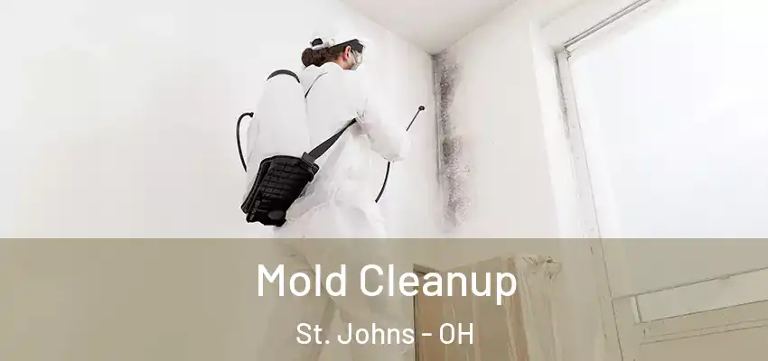 Mold Cleanup St. Johns - OH