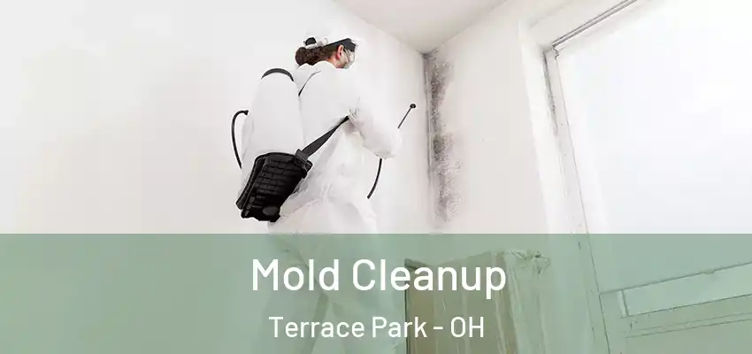 Mold Cleanup Terrace Park - OH