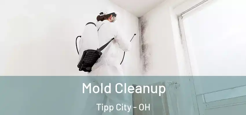 Mold Cleanup Tipp City - OH
