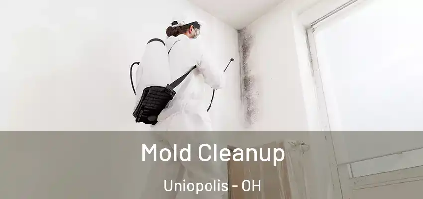  Mold Cleanup Uniopolis - OH
