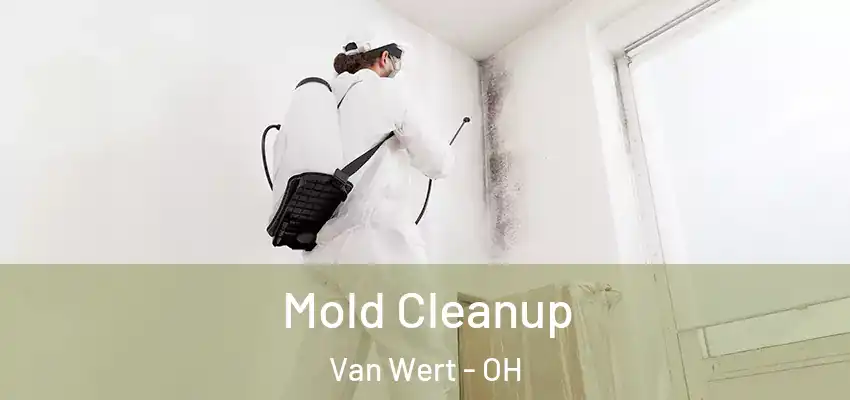Mold Cleanup Van Wert - OH