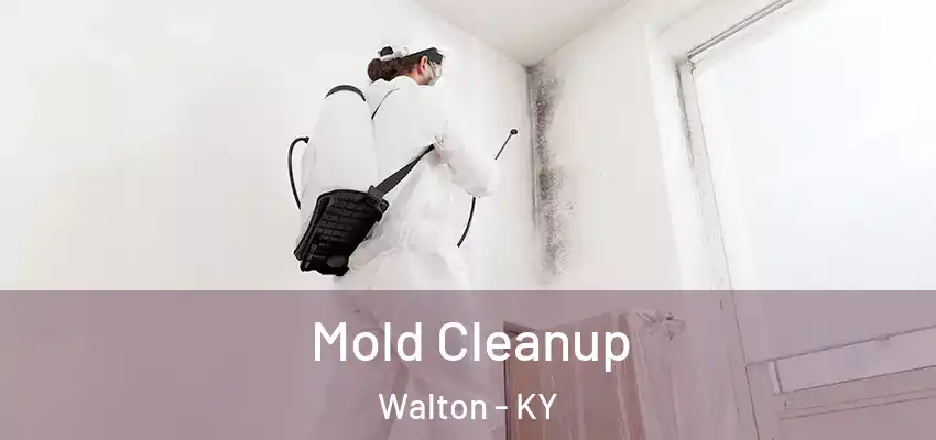 Mold Cleanup Walton - KY