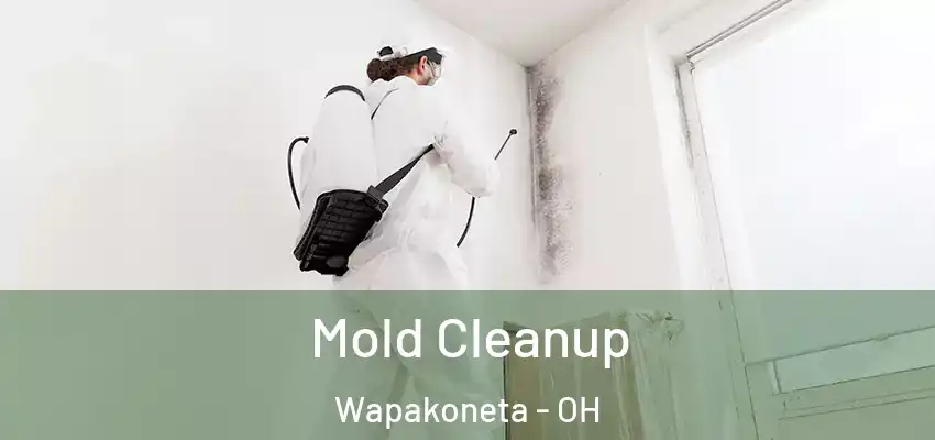 Mold Cleanup Wapakoneta - OH