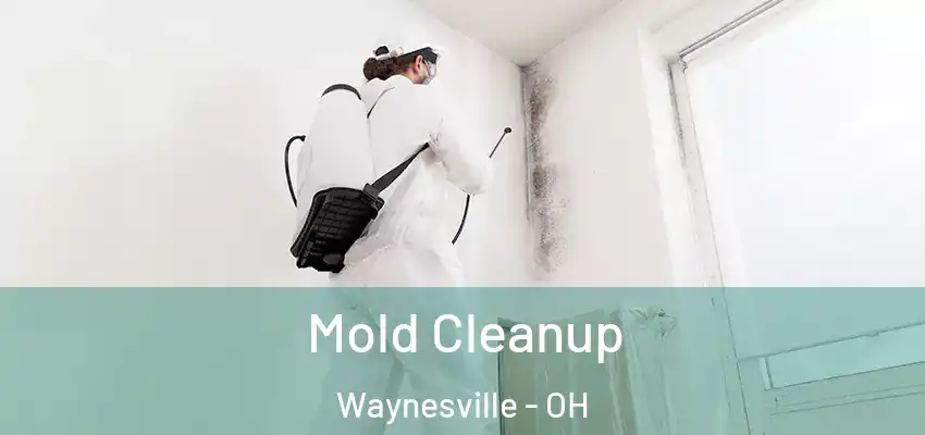 Mold Cleanup Waynesville - OH