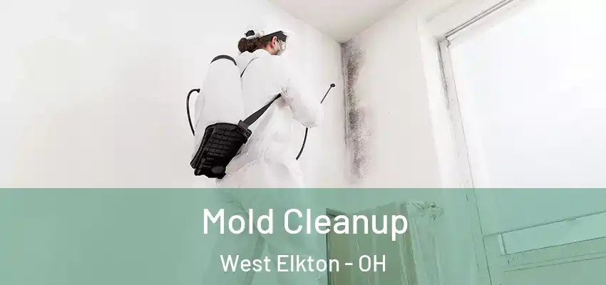 Mold Cleanup West Elkton - OH