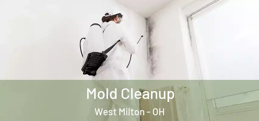 Mold Cleanup West Milton - OH