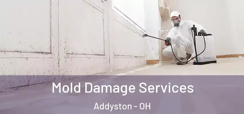  Mold Damage Services Addyston - OH