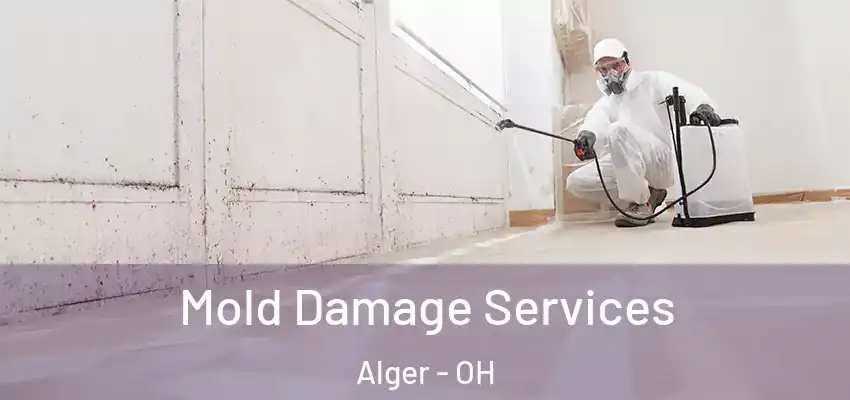  Mold Damage Services Alger - OH