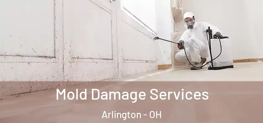 Mold Damage Services Arlington - OH