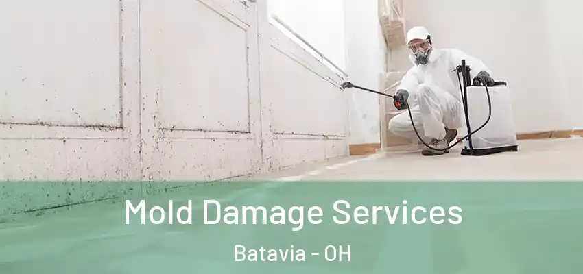  Mold Damage Services Batavia - OH