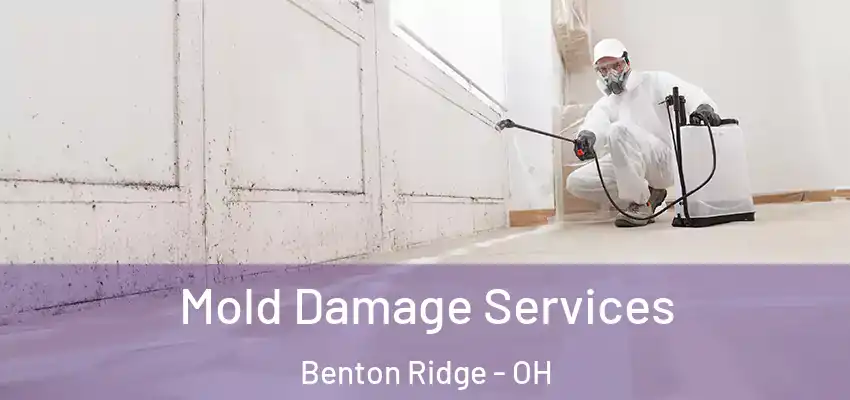  Mold Damage Services Benton Ridge - OH