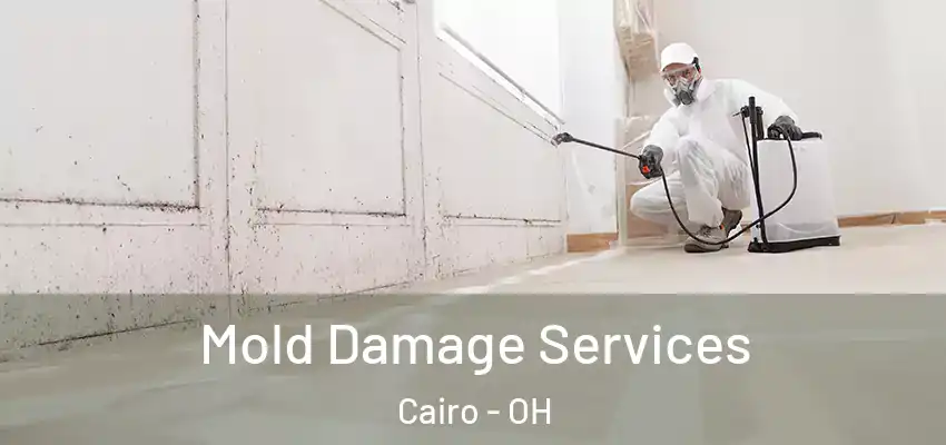  Mold Damage Services Cairo - OH