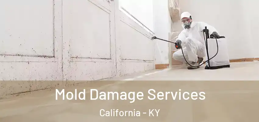  Mold Damage Services California - KY