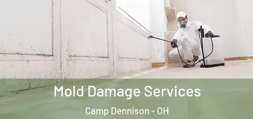 Mold Damage Services Camp Dennison - OH
