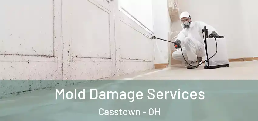 Mold Damage Services Casstown - OH