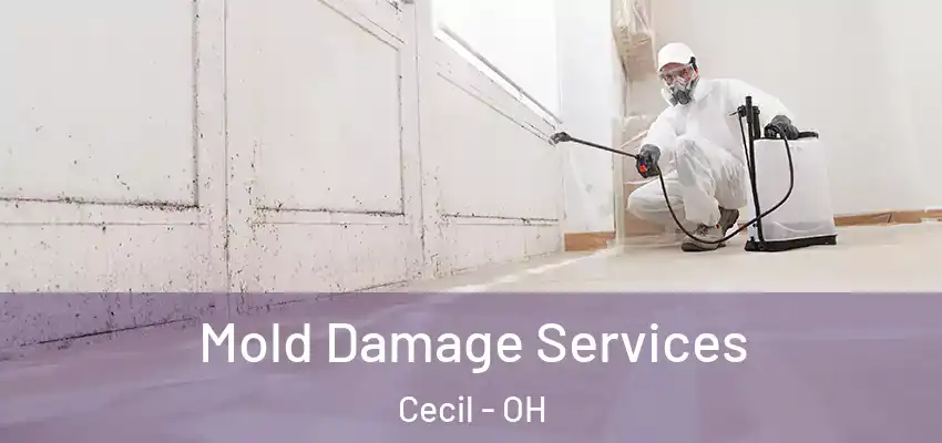  Mold Damage Services Cecil - OH