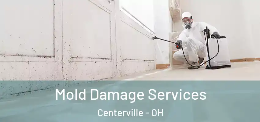  Mold Damage Services Centerville - OH