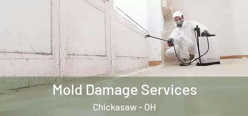 Mold Damage Services Chickasaw - OH