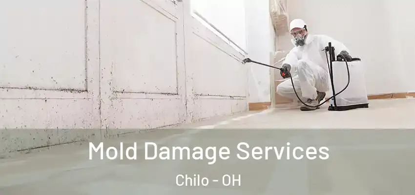  Mold Damage Services Chilo - OH