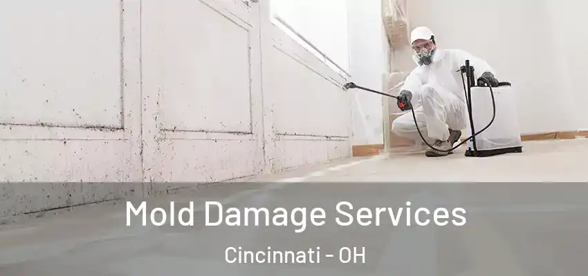  Mold Damage Services Cincinnati - OH