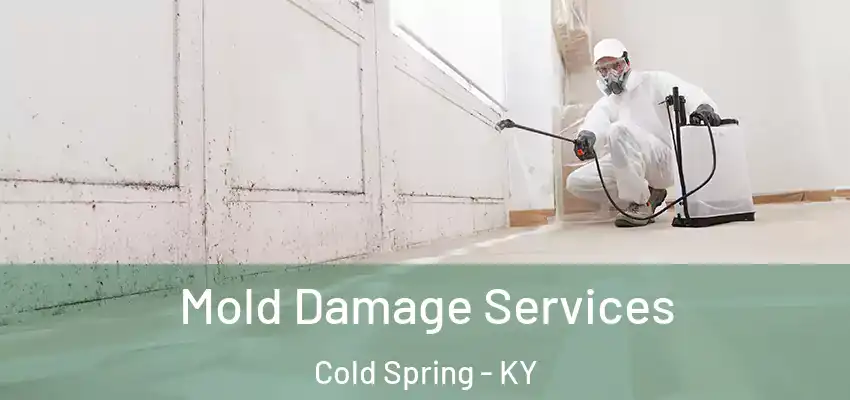  Mold Damage Services Cold Spring - KY