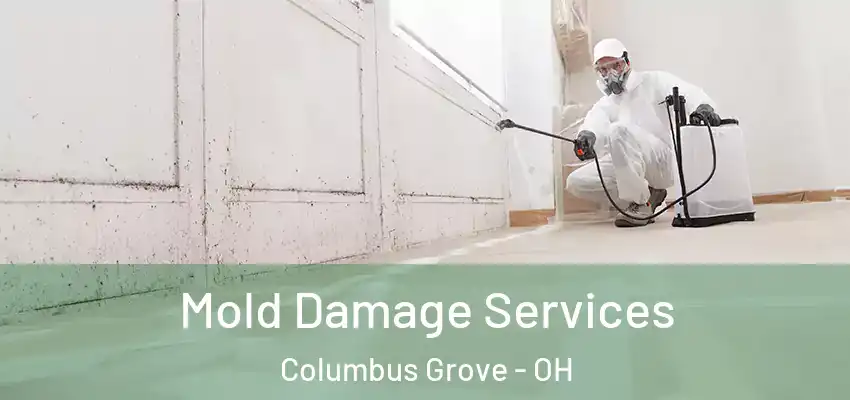  Mold Damage Services Columbus Grove - OH
