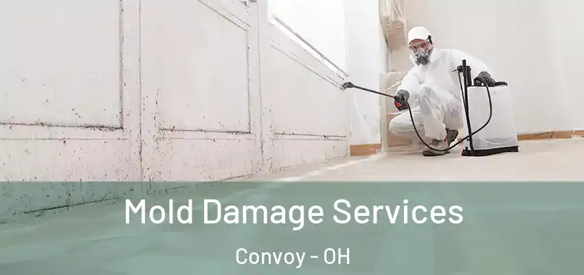  Mold Damage Services Convoy - OH