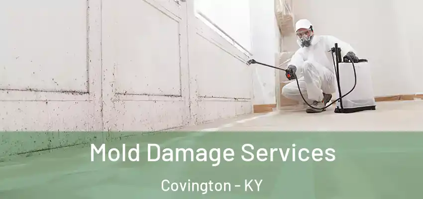  Mold Damage Services Covington - KY