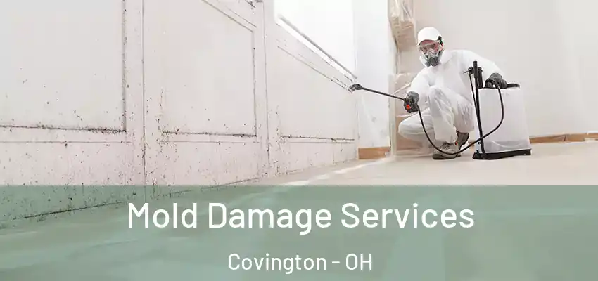 Mold Damage Services Covington - OH