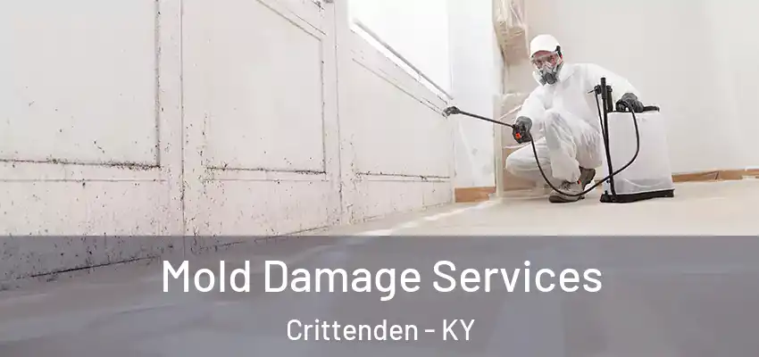 Mold Damage Services Crittenden - KY