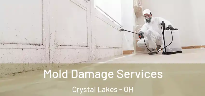  Mold Damage Services Crystal Lakes - OH