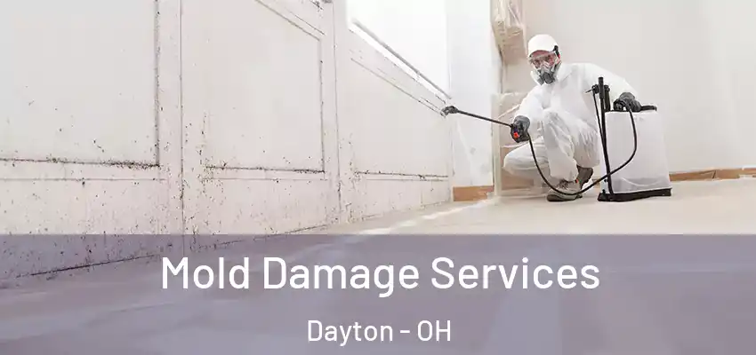 Mold Damage Services Dayton - OH