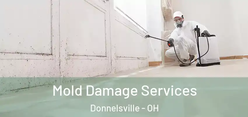 Mold Damage Services Donnelsville - OH