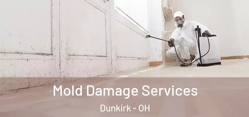 Mold Damage Services Dunkirk - OH