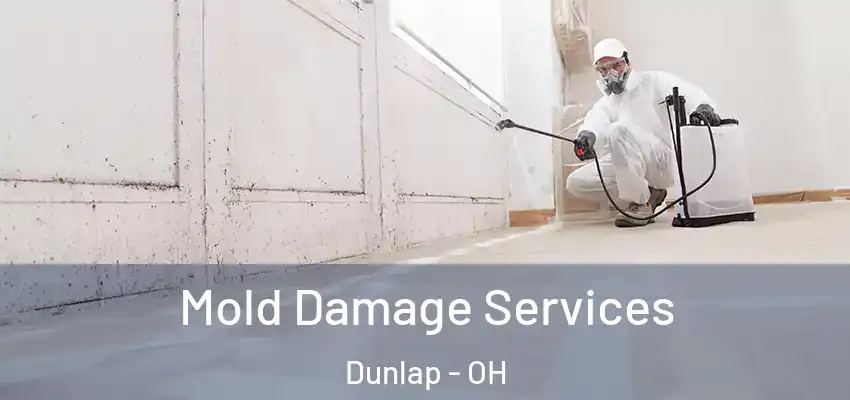 Mold Damage Services Dunlap - OH