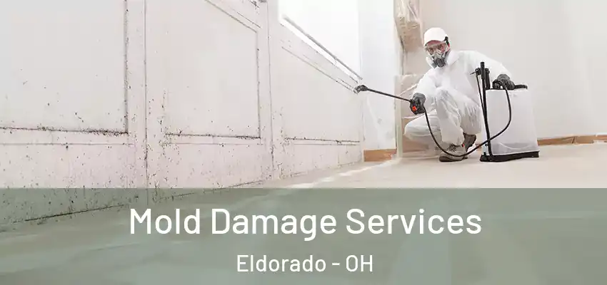 Mold Damage Services Eldorado - OH