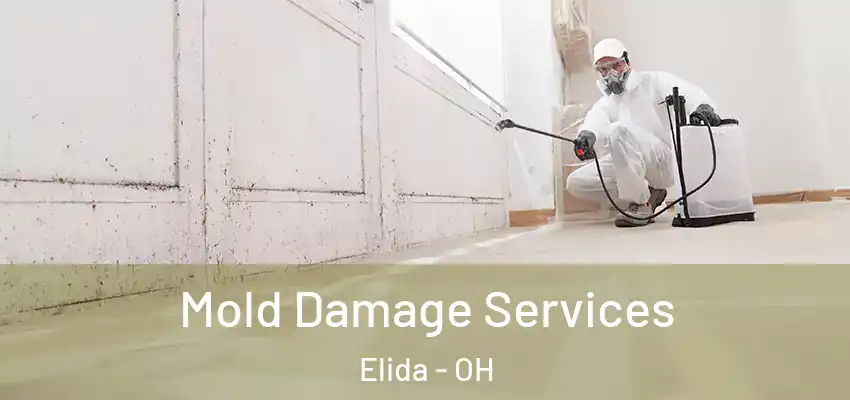 Mold Damage Services Elida - OH