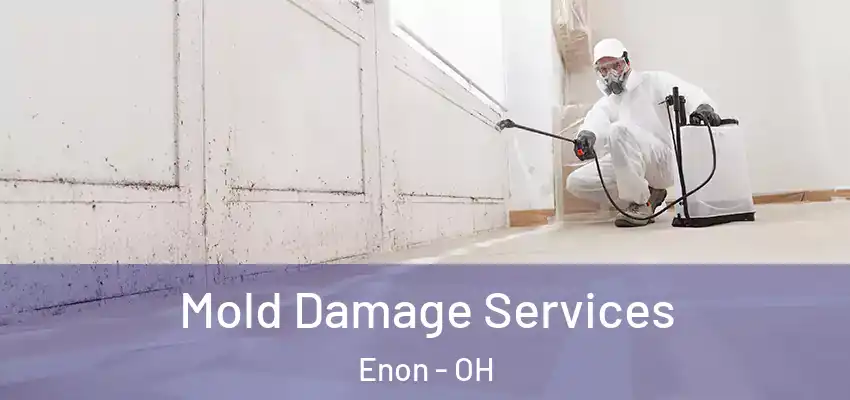  Mold Damage Services Enon - OH
