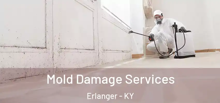 Mold Damage Services Erlanger - KY