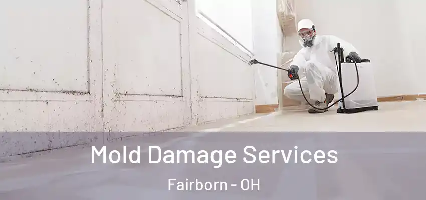 Mold Damage Services Fairborn - OH