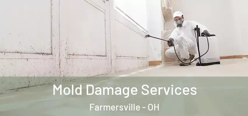 Mold Damage Services Farmersville - OH