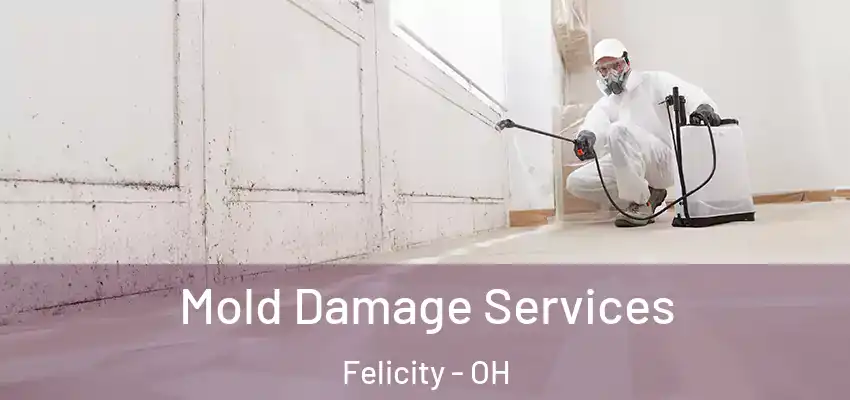  Mold Damage Services Felicity - OH
